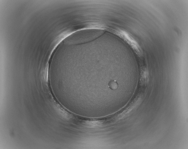 X0000116571276200912101503