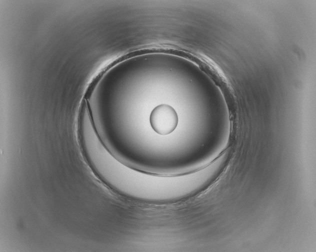 X0000116571277200912101503