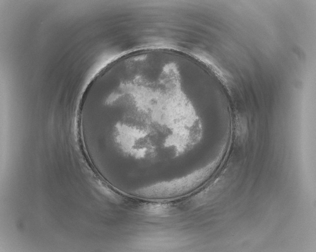 X0000116571278200912101503