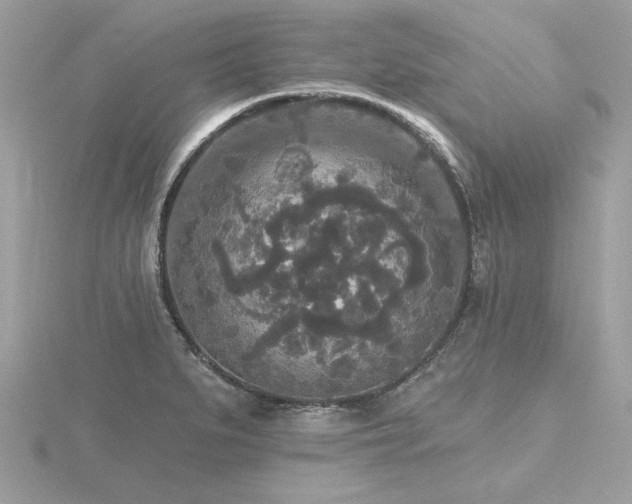 X0000116571279200912101503