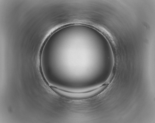 X0000116571280200912101503