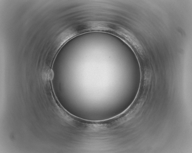 X0000116571281200912101503