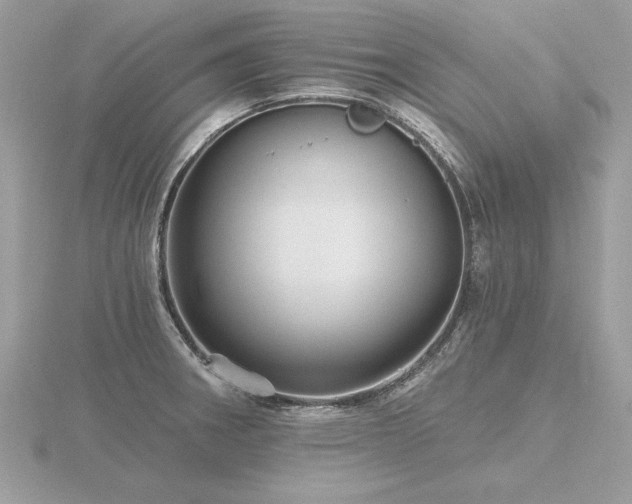 X0000116571282200912101503