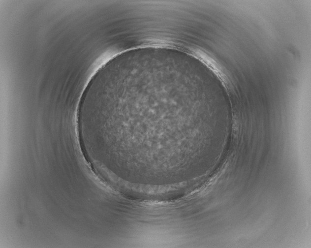 X0000116571283200912101503