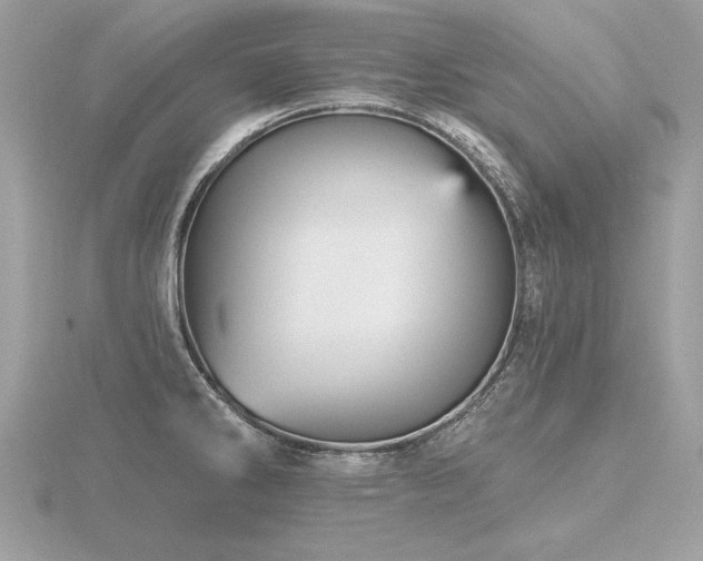 X0000116571286200912101503