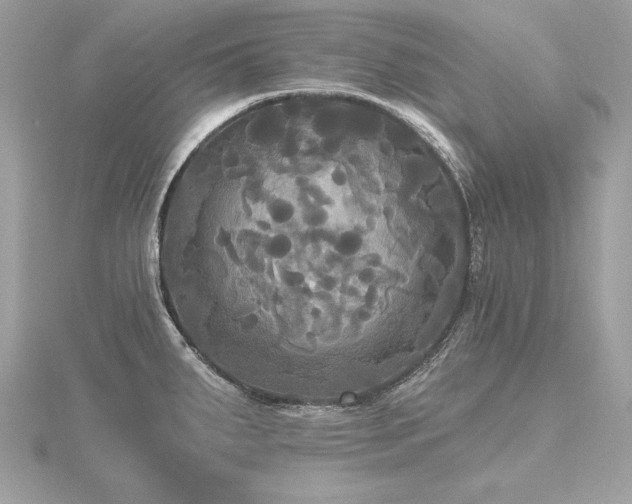 X0000116571287200912101503