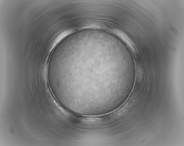 X0000116571290200912101503