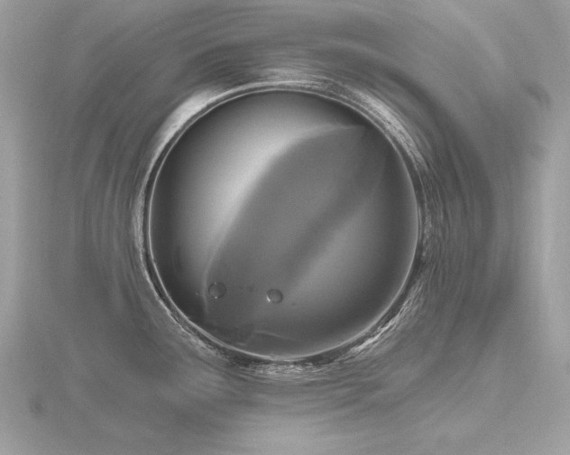 X0000116571291200912101503