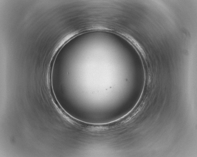 X0000116571293200912101502