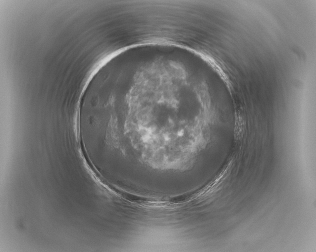 X0000116571295200912101502