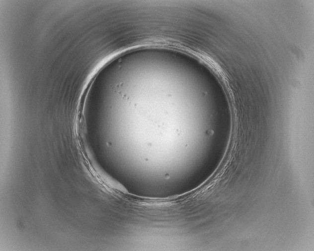 X0000116571296200912101502