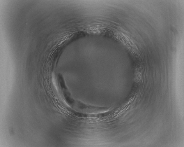 X0000116571297200912101502