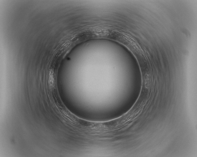 X0000116571298200912101502