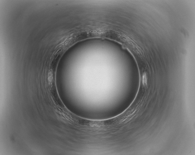 X0000116571299200912101502