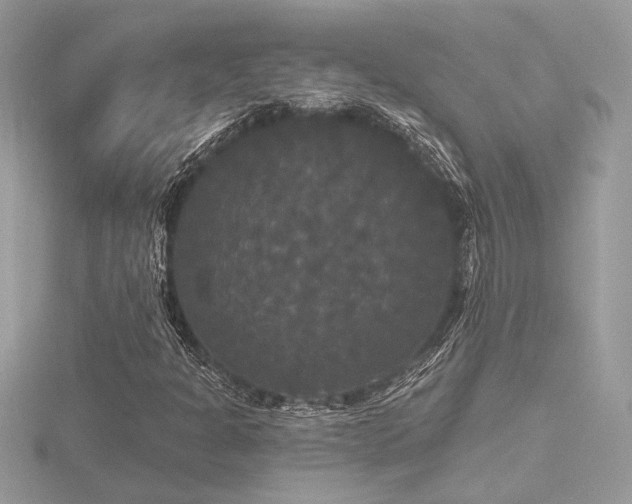 X0000116571301200912101502