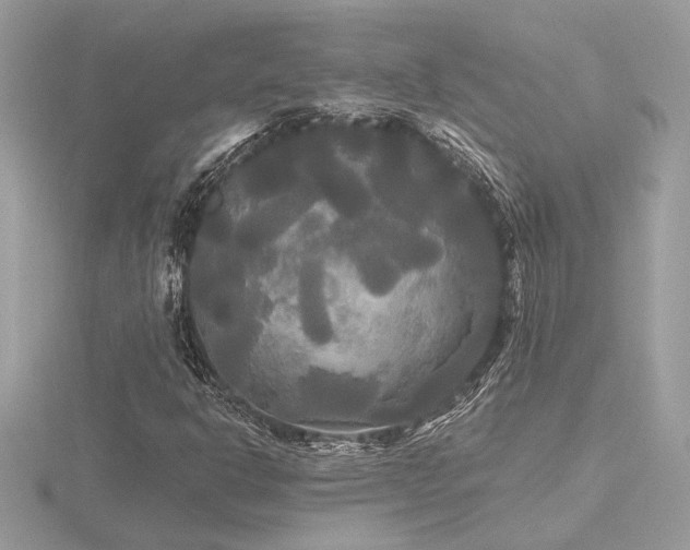 X0000116571302200912101502