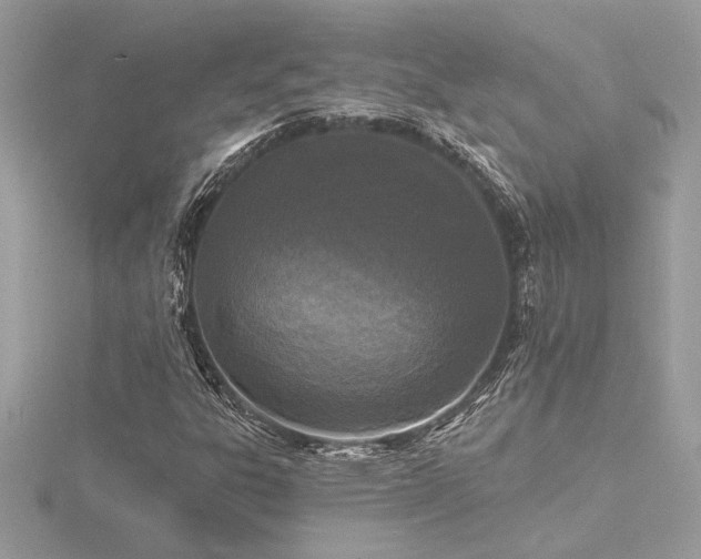 X0000116571303200912101502