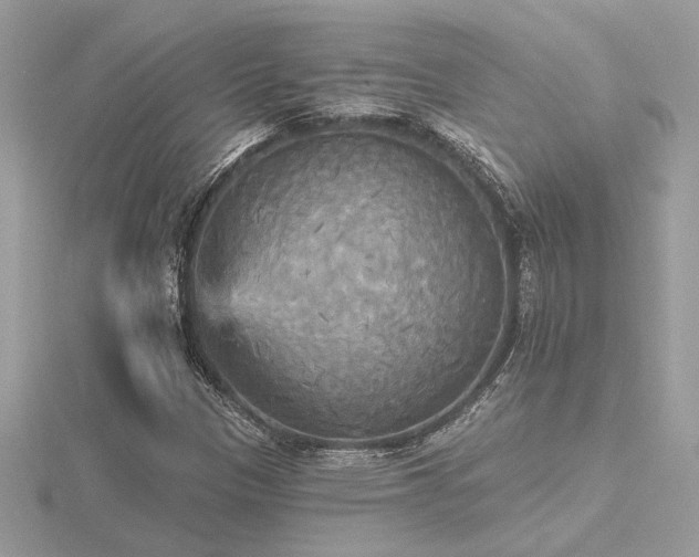 X0000116571305200912101502