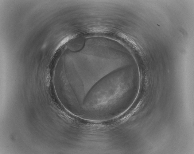 X0000116571306200912101502