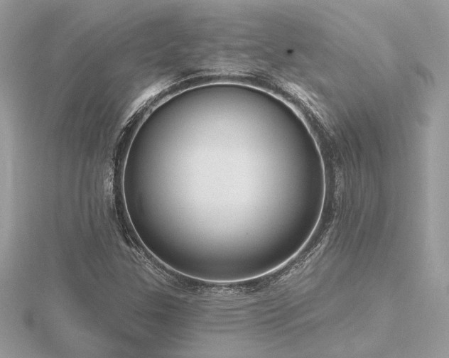 X0000116571307200912101502