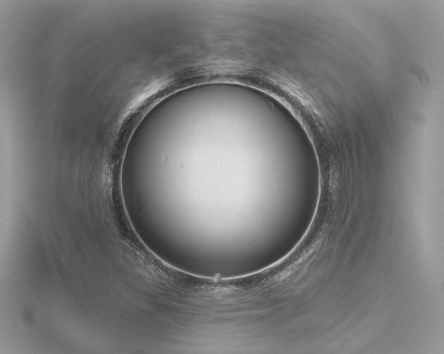 X0000116571309200912101502