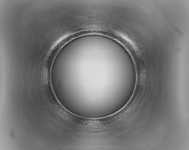 X0000116571310200912101502