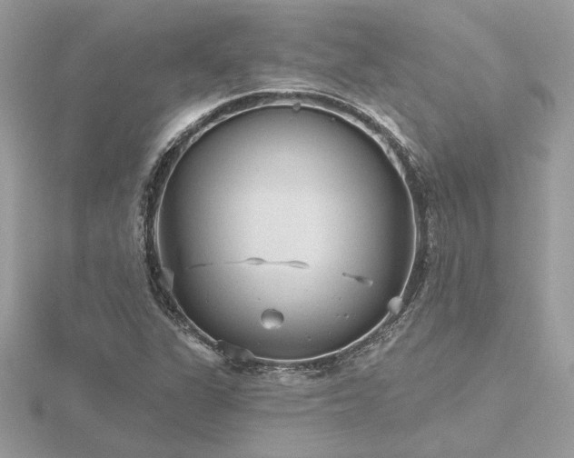 X0000116571311200912101502