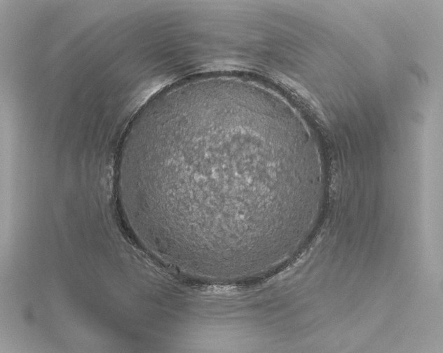 X0000116571313200912101502