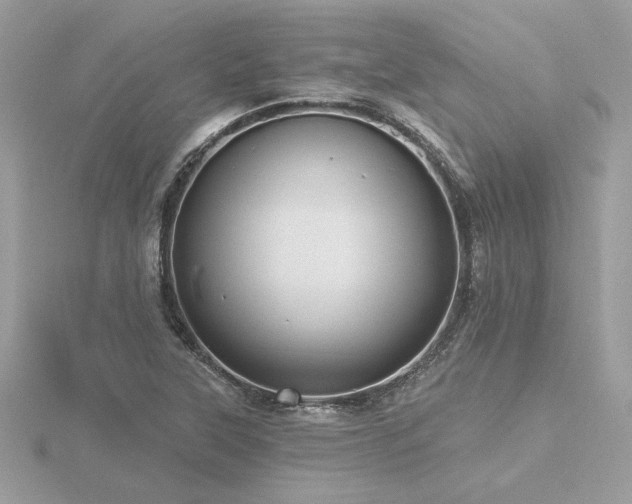 X0000116571315200912101502