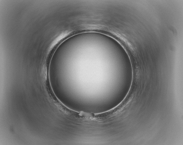 X0000116571317200912101502