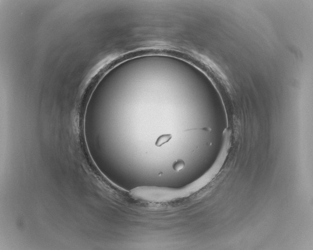 X0000116571318200912101502