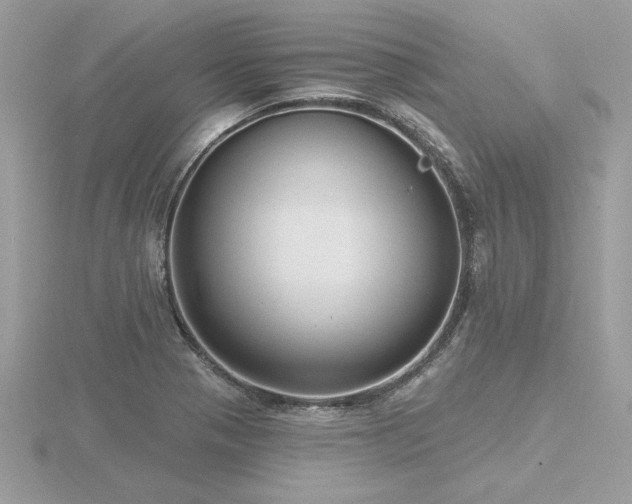 X0000116571321200912101502