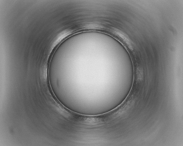 X0000116571322200912101502