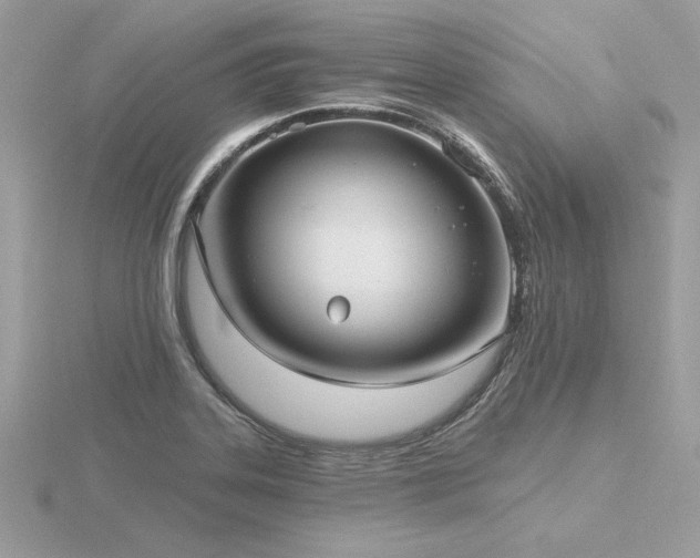 X0000116571323200912101502