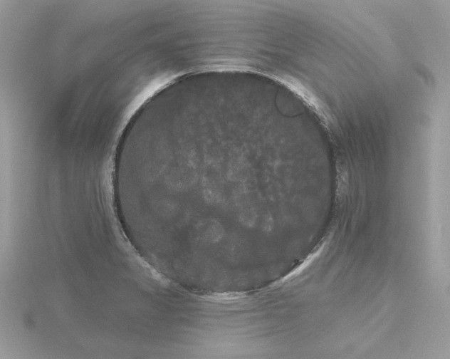 X0000116571325200912101502