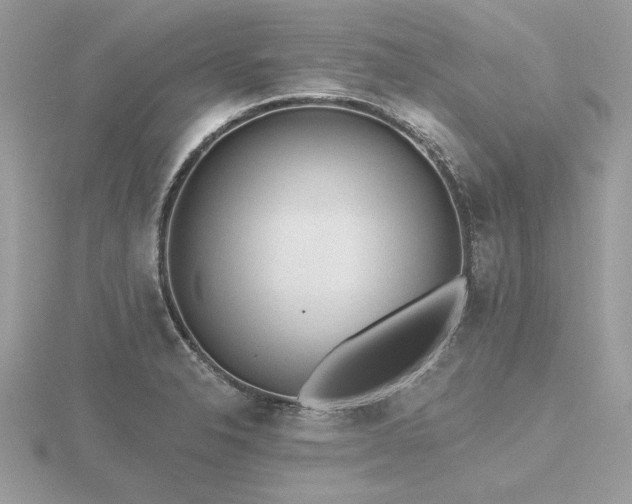 X0000116571326200912101502