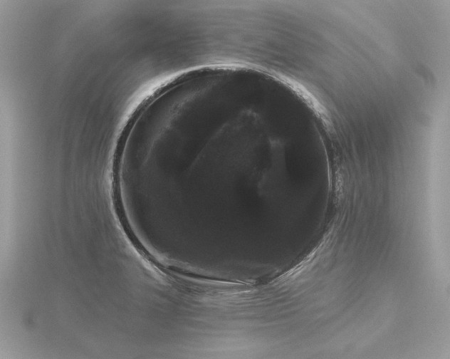 X0000116571327200912101502