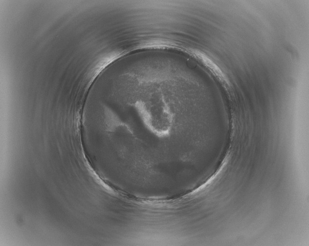 X0000116571329200912101502