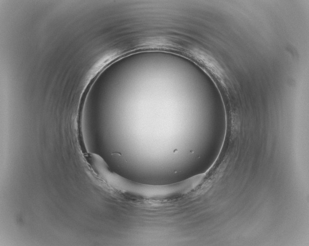 X0000116571330200912101502