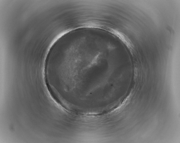 X0000116571331200912101502