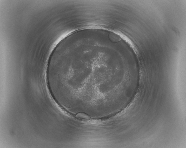 X0000116571333200912101502