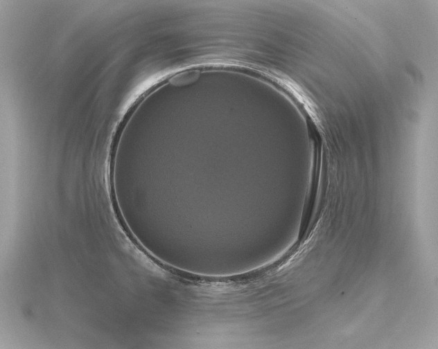 X0000116571334200912101502