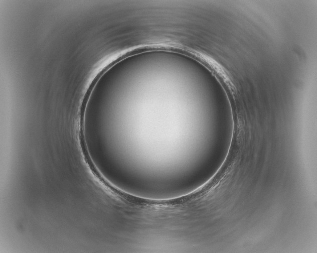 X0000116571335200912101502