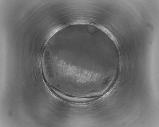 X0000116571337200912101502