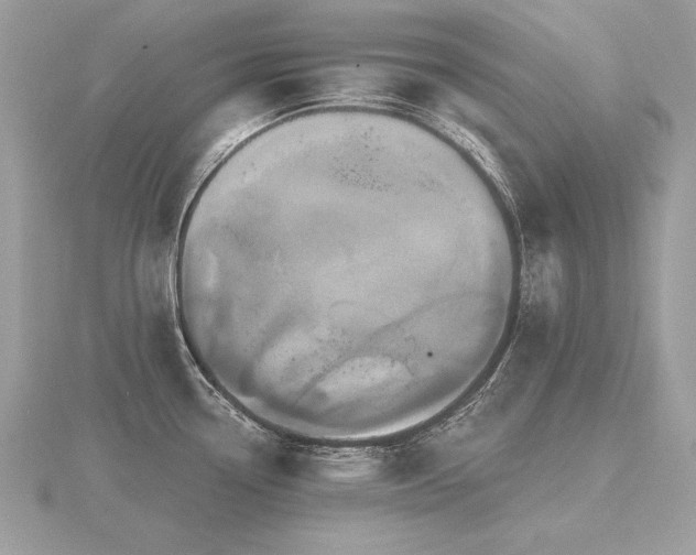 X0000116571338200912101502