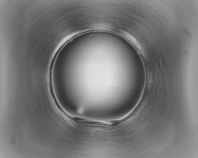 X0000116571339200912101502