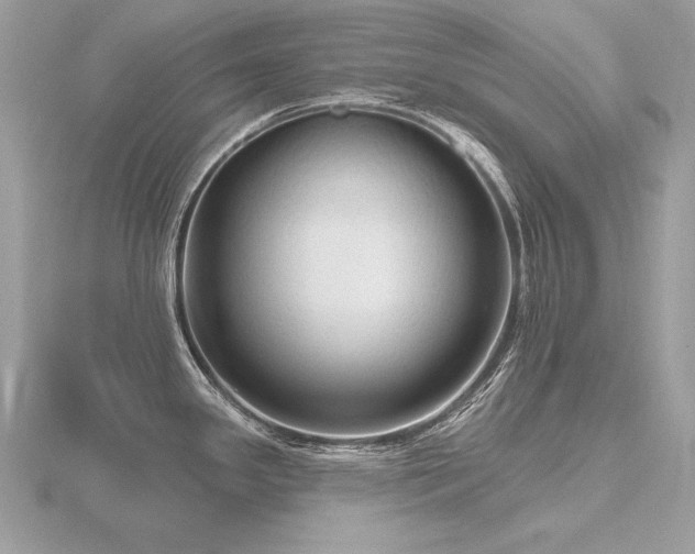 X0000116571341200912101502