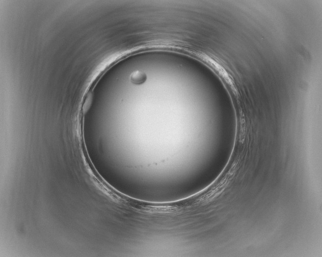 X0000116571342200912101502