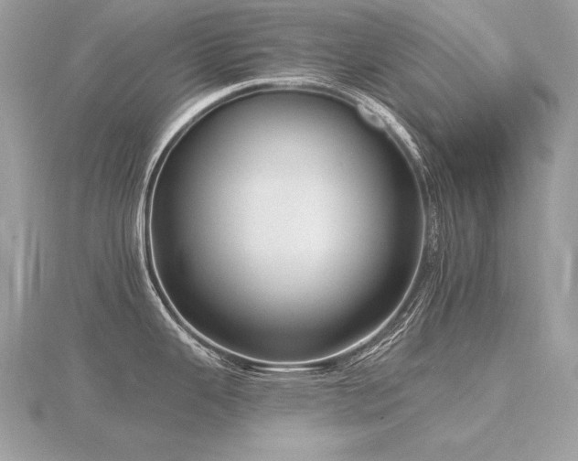 X0000116571343200912101502