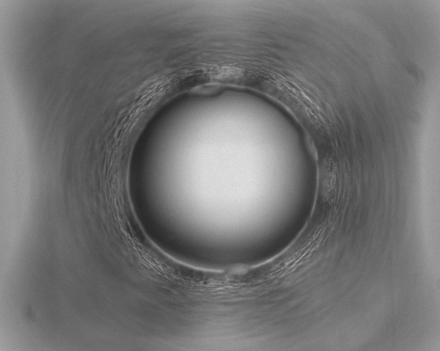 X0000116571345200912101502